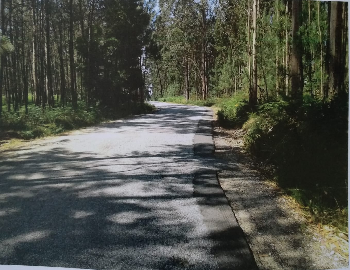 El gobierno saca a concurso el asfaltado del vial de Cruceiro Monte Faro A Pontes, en Noalla