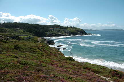 Coastal landscape