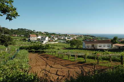 Paisaje Interior