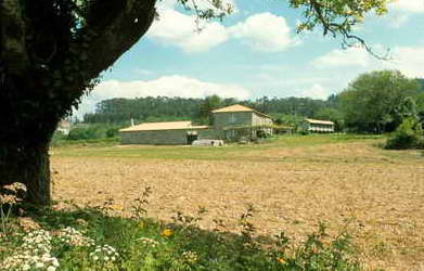 Pazos y casas solariegas