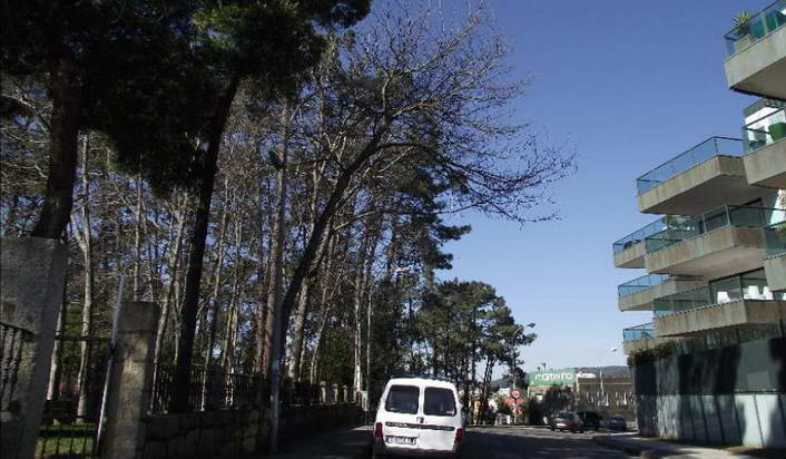 A concellería de medio ambiente levará a cabo unha restauración de arborado en Baltar e Vicaño