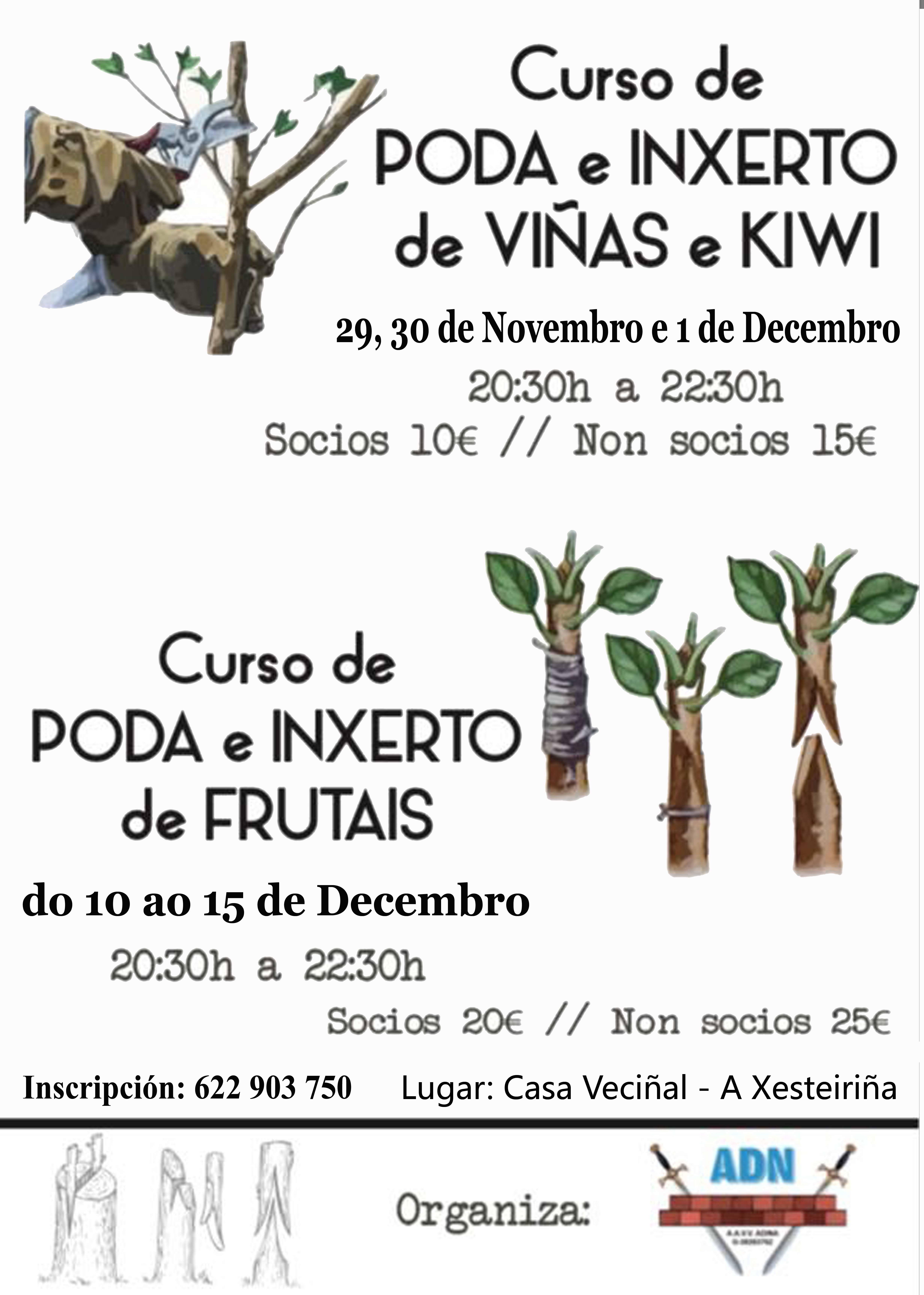 A Asociación de Veciños de Adina organiza dous cursos de poda e enxerto