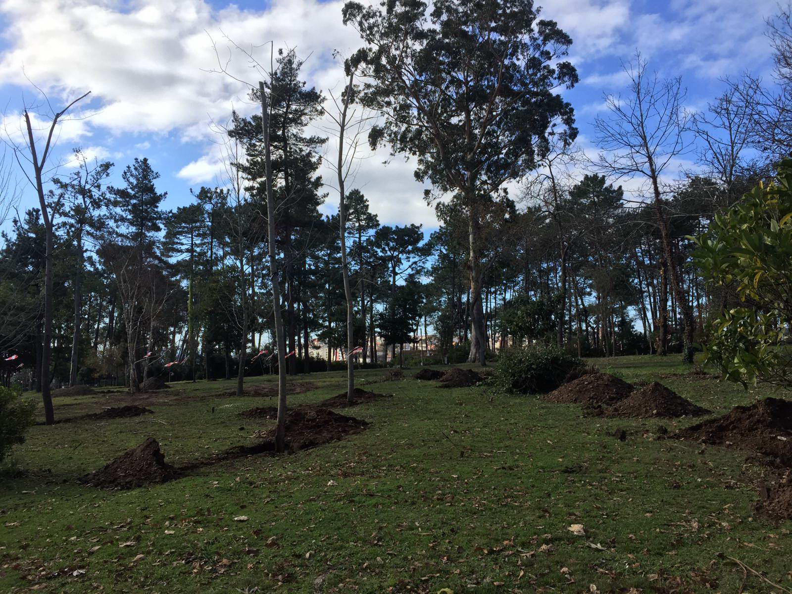 A Concellería de Medio Ambiente levará a cabo unha nova actuación en Punta Vicaño