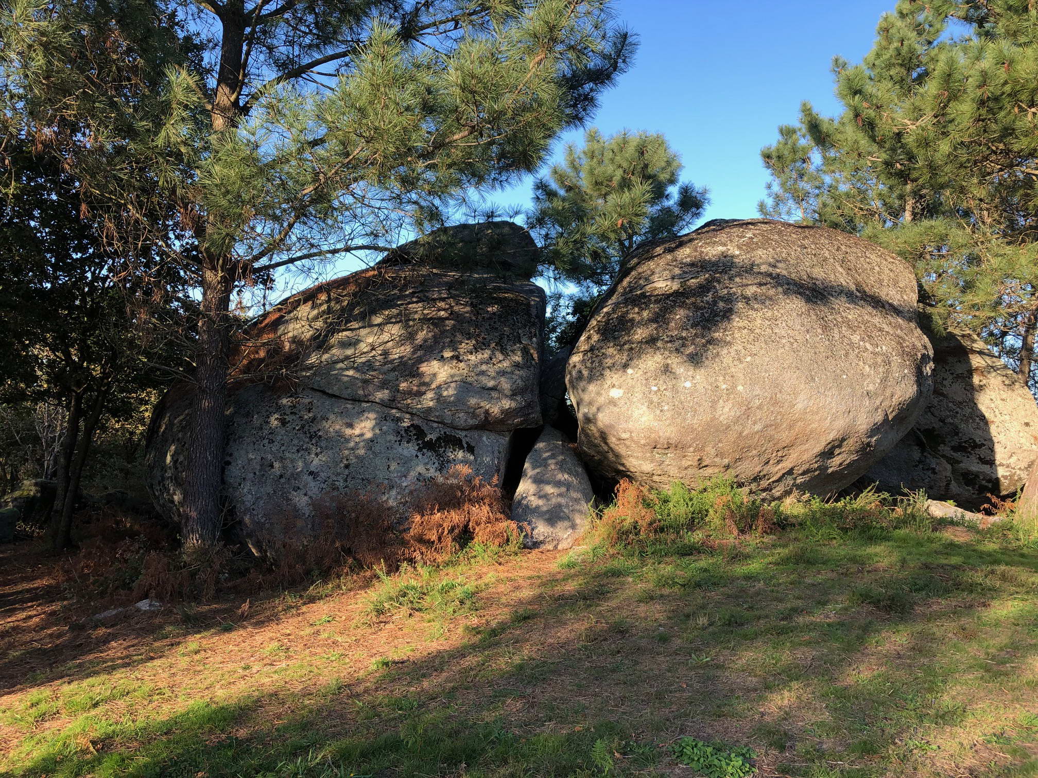 SANXENXO CREA UNHA NOVA RUTA DE NATUREZA E PATRIMONIO PARA O ESPAREXEMENTO DE VECIÑOS E VISITANTES              