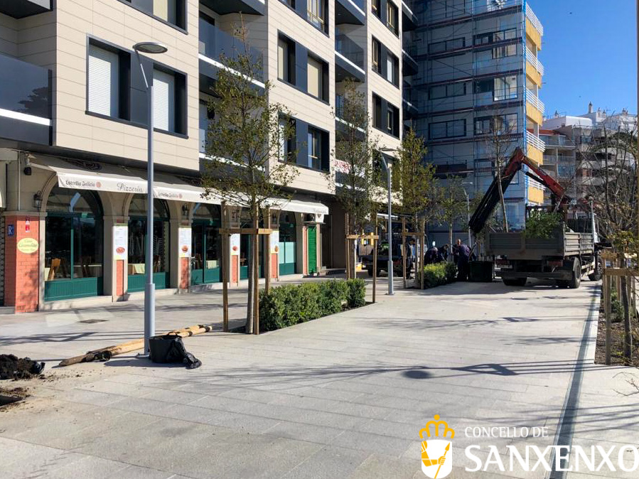 OPERARIOS MUNICIPAIS DE XARDÍNS SUBSTITÚEN DEZ NOVOS ÁRBORES NO PARQUE DE PANADEIRA