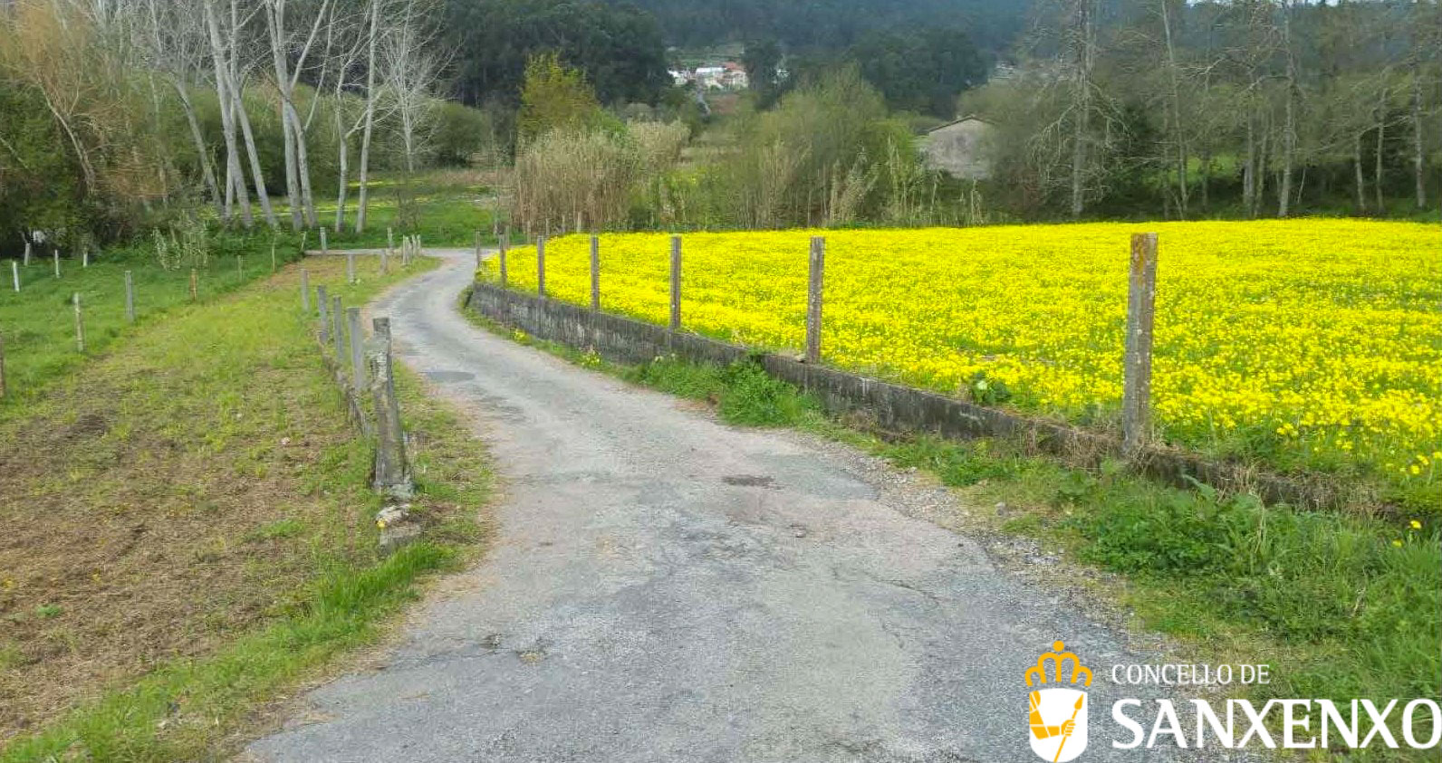 EL CONCELLO REFORZARÁ EL FIRME DEL CAMINO DE FREIXEIRO A MAGALÁNS EN DORRÓN CON UNA INVERSIÓN DE 44.685 EUROS