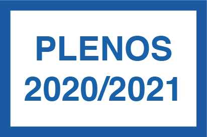 PLENOS 2020-2021