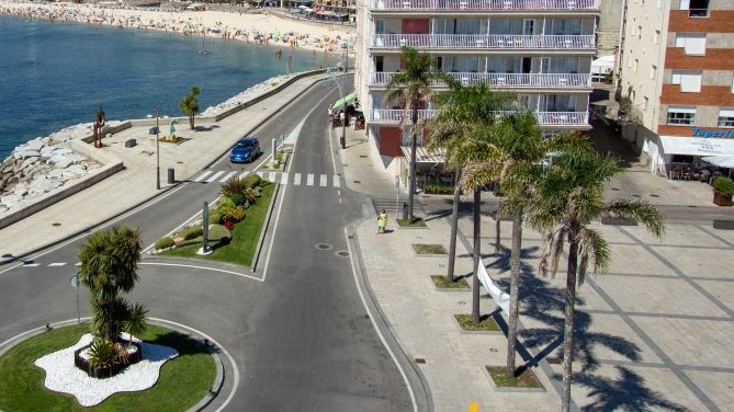 TURISMO DE SANXENXO SACA A CONCURSO EL MANTENIMIENTO Y TRATAMIENTO DE 77 PALMERAS CONTRA EL PICUDO ROJO