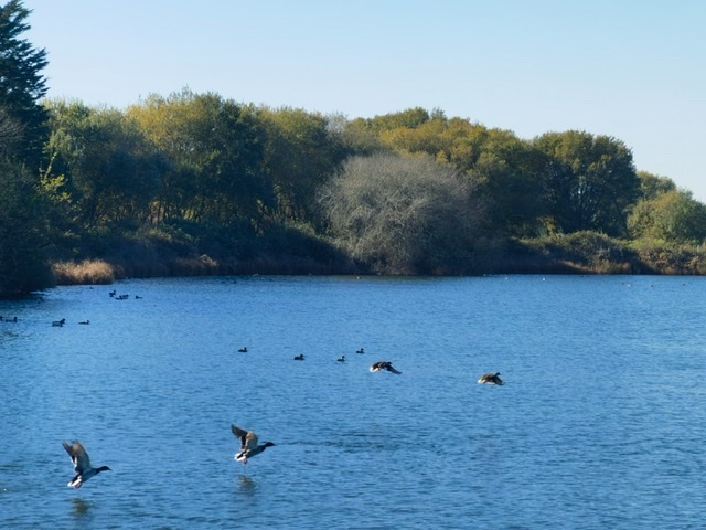 EL CONCELLO DESTINARÁ 557.000 EUROS A LA CREACIÓN DE UNA SENDA EN LA RÍA DE AROUSA Y LA MEJORA DE A TELLEIRA