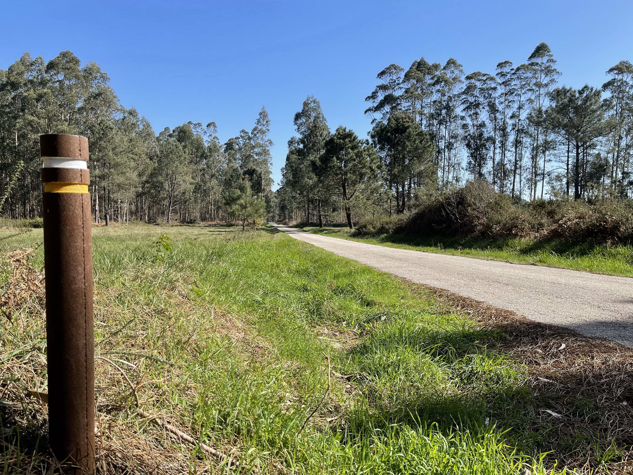 SANXENXO PRESENTARÁ A RUTA DOS CARBALLOS DE ALDARIZ Á CANDIDATURA DE SENDEIROS AZUIS 2022