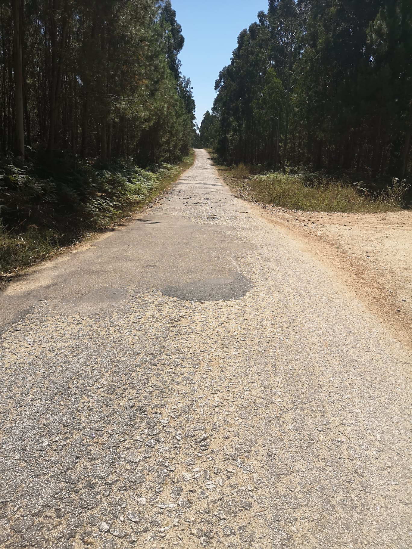 EL CONCELLO PAVIMENTARÁ LA PISTA QUE ENLAZA NOALLA Y O CASTRO EN VILALONGA