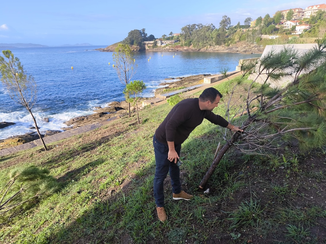 LA POLICÍA LOCAL INVESTIGA LA TALA DE SIETE PINOS EN LA ZONA DEL MIRADOR DE A PEIXEIRA