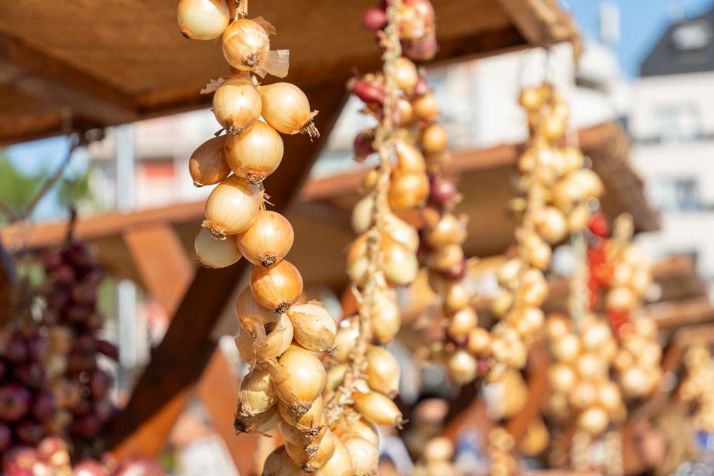 SANXENXO ABRE EL PLAZO PARA LAS PROPUESTAS PARA ELEGIR A LOSPREMIOS CEBOLA DE OURO 2026